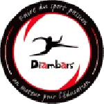 TEAM #2411 logo
