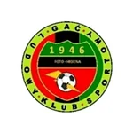 TEAM #24197 logo