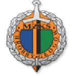 TEAM #24199 logo