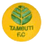 TEAM #24300 logo