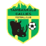TEAM #24302 logo