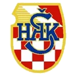 TEAM #2497 logo