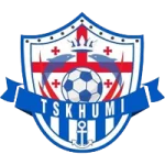TEAM #25132 logo