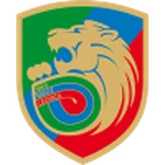 TEAM #25182 logo