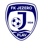 TEAM #2529 logo