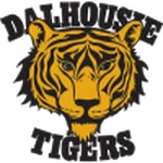 TEAM #25713 logo