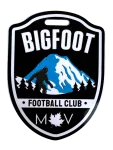 TEAM #25935 logo