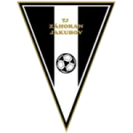 TEAM #26291 logo