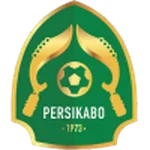 TEAM #2636 logo