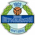 TEAM #26382 logo