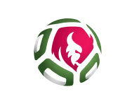 TEAM #27029 logo