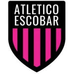 TEAM #27556 logo