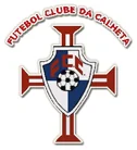 TEAM #2915 logo
