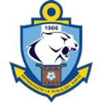 TEAM #2919 logo