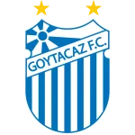 TEAM #2969 logo