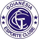 TEAM #2978 logo
