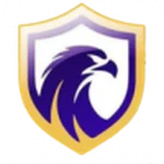 TEAM #2999 logo