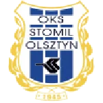 TEAM #307 logo