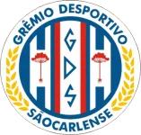 TEAM #3080 logo