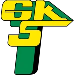 TEAM #312 logo