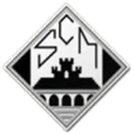 TEAM #3123 logo