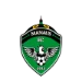 TEAM #3133 logo