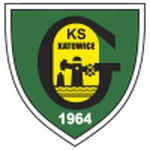 TEAM #315 logo