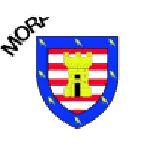 TEAM #3155 logo