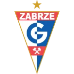 TEAM #317 logo