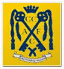 TEAM #3197 logo