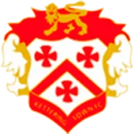 TEAM #3229 logo