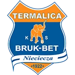 TEAM #335 logo