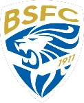 TEAM #339 logo