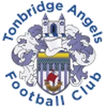 TEAM #3408 logo