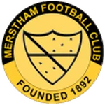TEAM #3533 logo