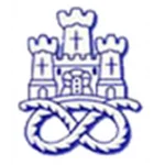 TEAM #3551 logo
