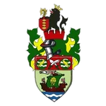 TEAM #3581 logo