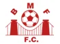 TEAM #3734 logo