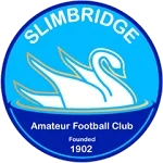 TEAM #3751 logo