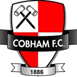 TEAM #3802 logo