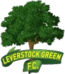 TEAM #3853 logo