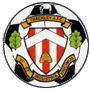 TEAM #3903 logo