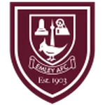 TEAM #3919 logo
