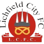 TEAM #4111 logo