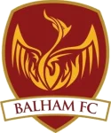 TEAM #4177 logo