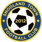 TEAM #4331 logo