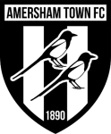 TEAM #4336 logo