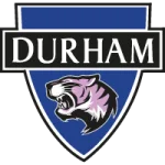 TEAM #4381 logo
