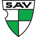 TEAM #4848 logo