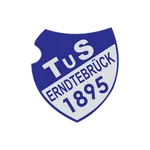 TEAM #4861 logo